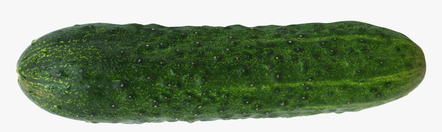 Artificial Turf, HD Png Download, Free Download
