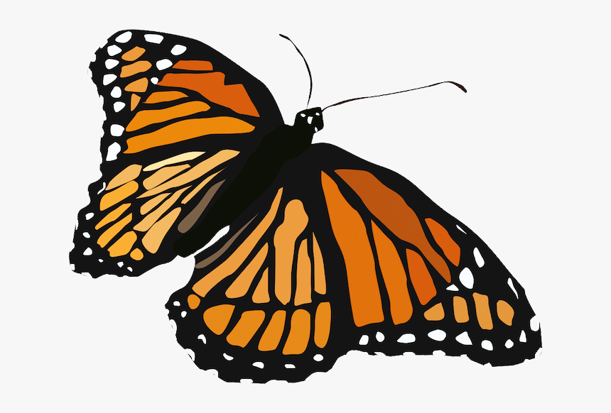 Butterfly - Monarch Butterfly, HD Png Download, Free Download