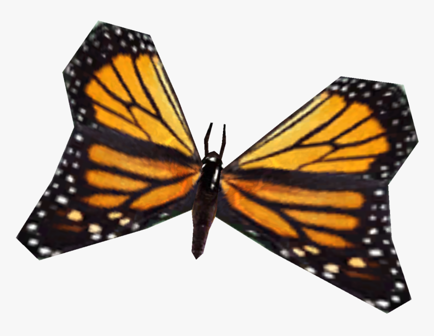 Monarch Butterfly , Png Download, Transparent Png, Free Download