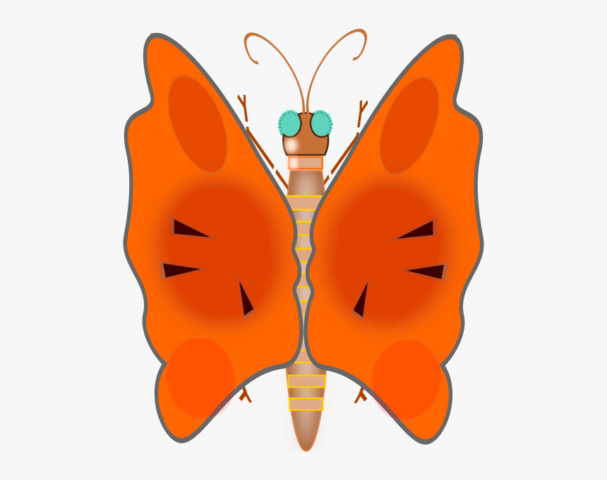 Butterfly, HD Png Download, Free Download