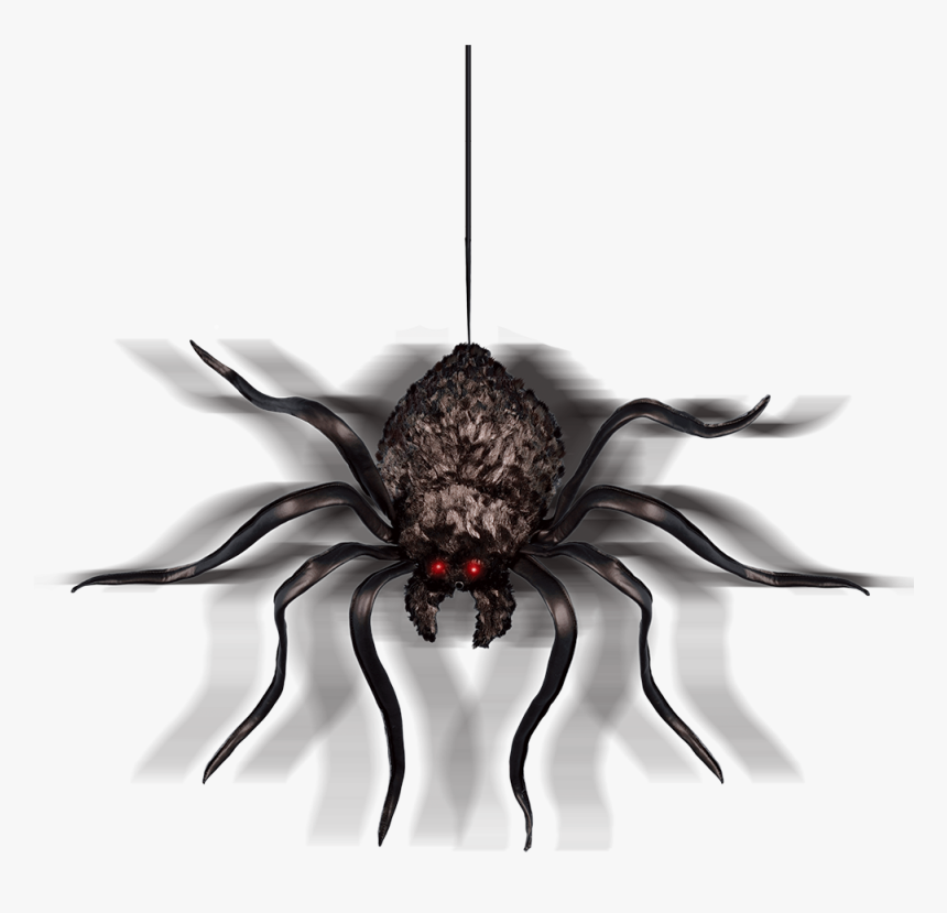 Hanging Shaking Spider - Spider, HD Png Download, Free Download