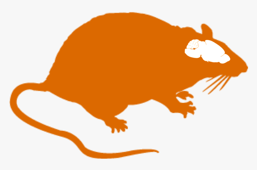 Rat Clipart Small Rat - Rat Sticker, HD Png Download, Free Download