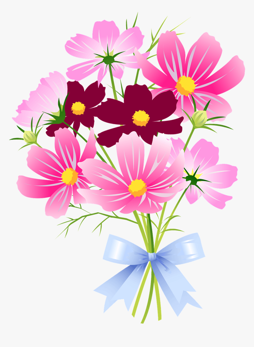 Marguerite Daisy, HD Png Download, Free Download