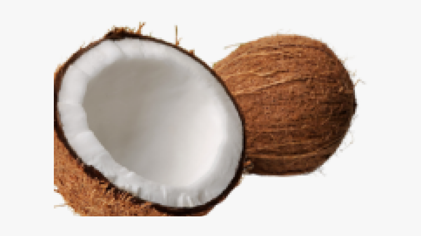 Coconut Png Transparent Images - Jk A Coconut, Png Download, Free Download