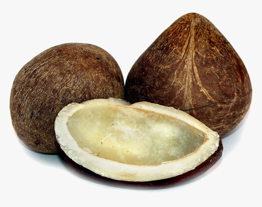 Half Coconut Png Photos - Coconut Dry Fruit, Transparent Png, Free Download