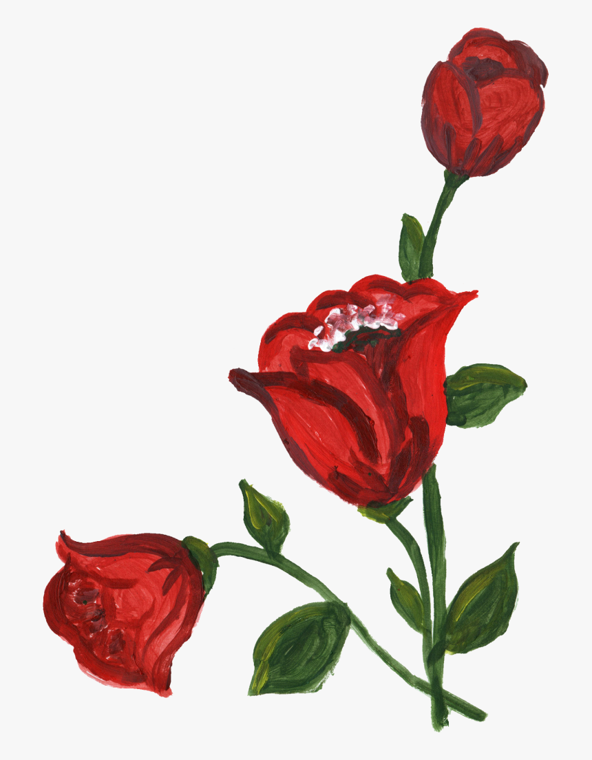 Transparent Corner Red Roses, HD Png Download, Free Download