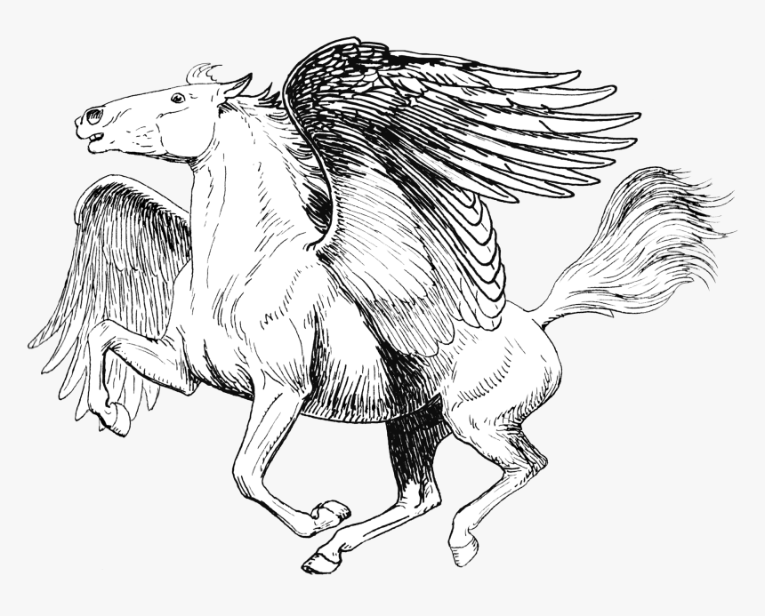 Pegasus - Mythical Creature Pegasus Coloring Pages, HD Png Download, Free Download