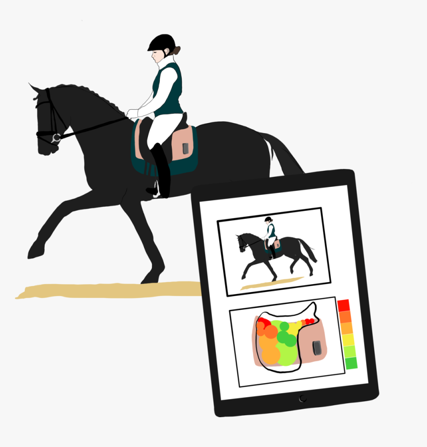 Equilly-illustration - Stallion, HD Png Download, Free Download