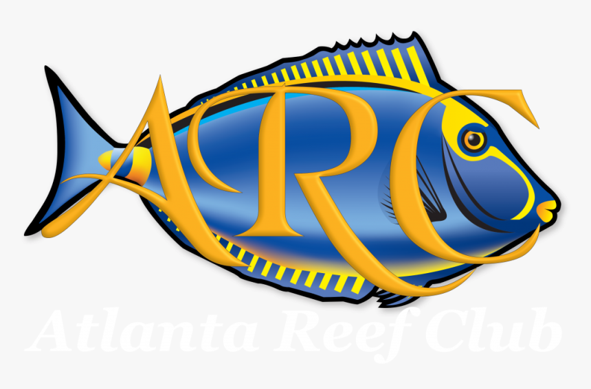 Salt Water Fish Clipart Png Black And White Download - Atlanta Reef Club, Transparent Png, Free Download