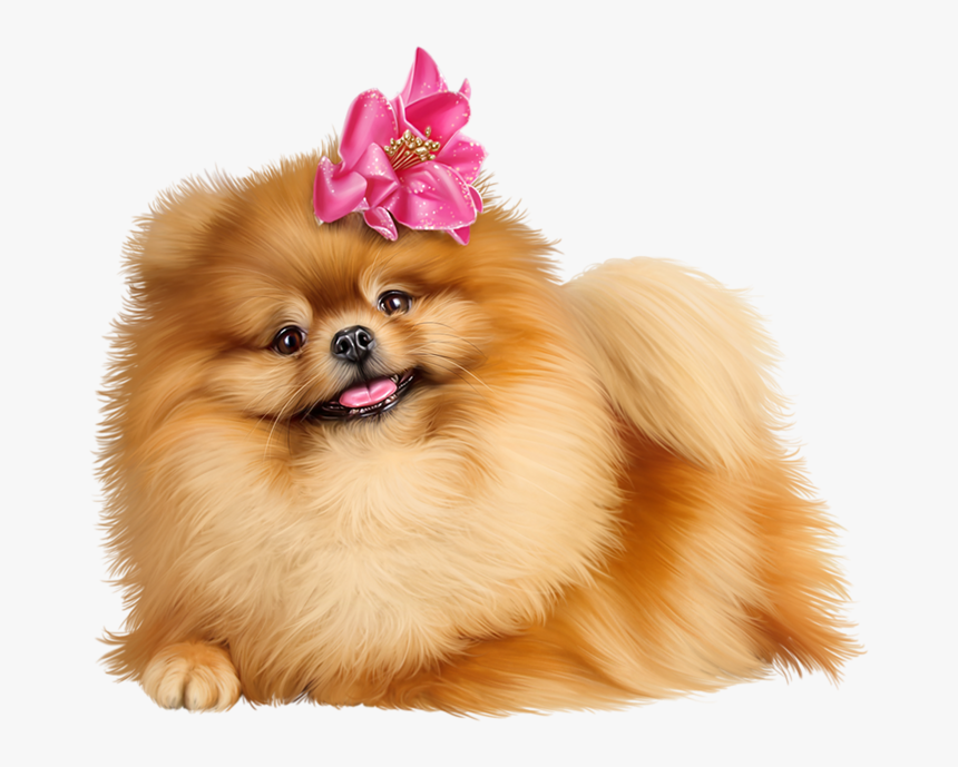 Cute Pomeranian Puppies - Pomeranian Puppy Pixel Clipart, HD Png Download, Free Download