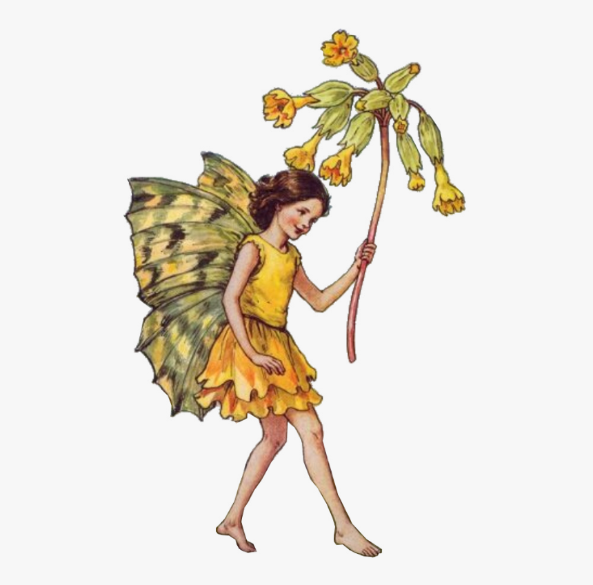 Cowslip Fairy, HD Png Download, Free Download