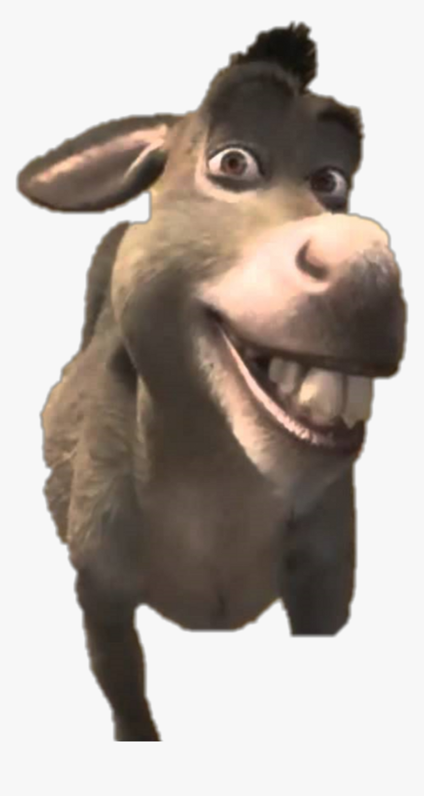 #freetoedit #shrek #donkey - Shrek Donkey, HD Png Download, Free Download