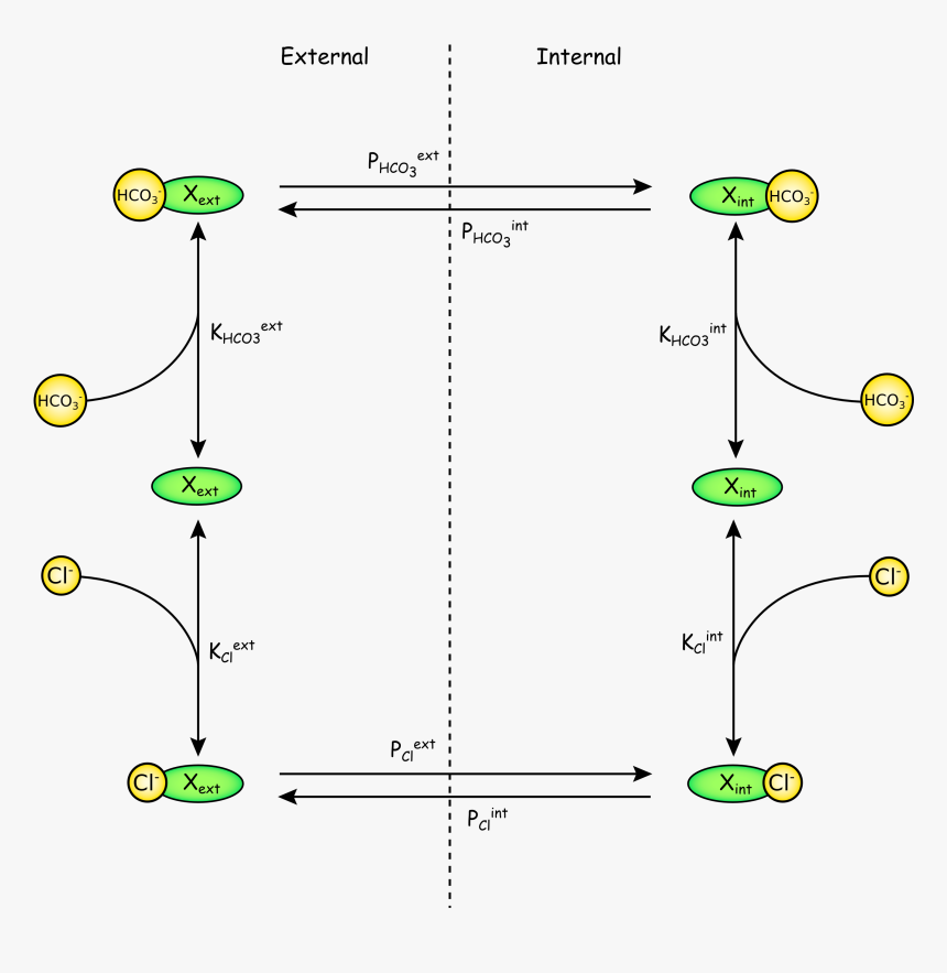 Diagram, HD Png Download, Free Download