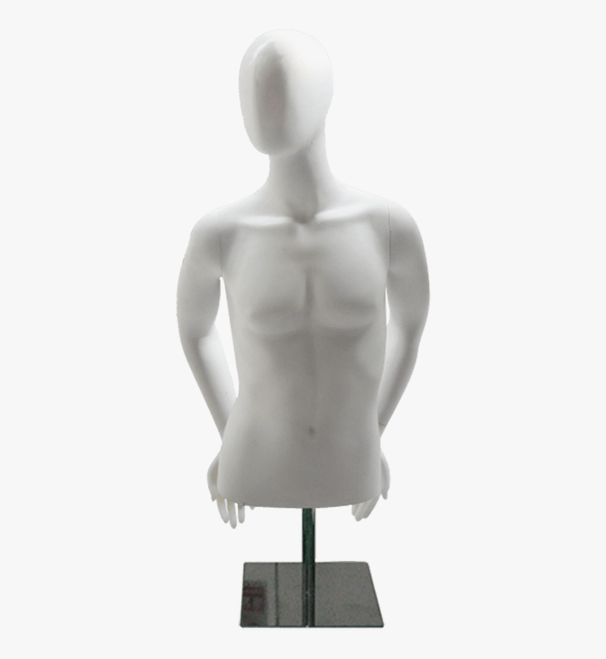 Md-m1026 Male Measurements - Half Mannequin Male Png, Transparent Png, Free Download