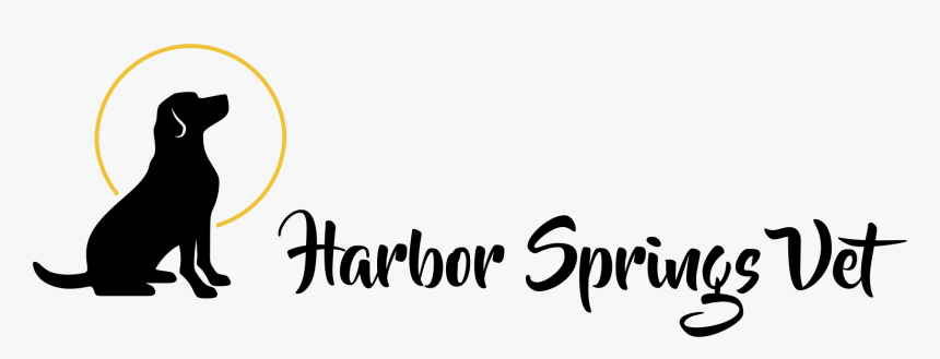 Harbor Springs Vet - Calligraphy, HD Png Download, Free Download