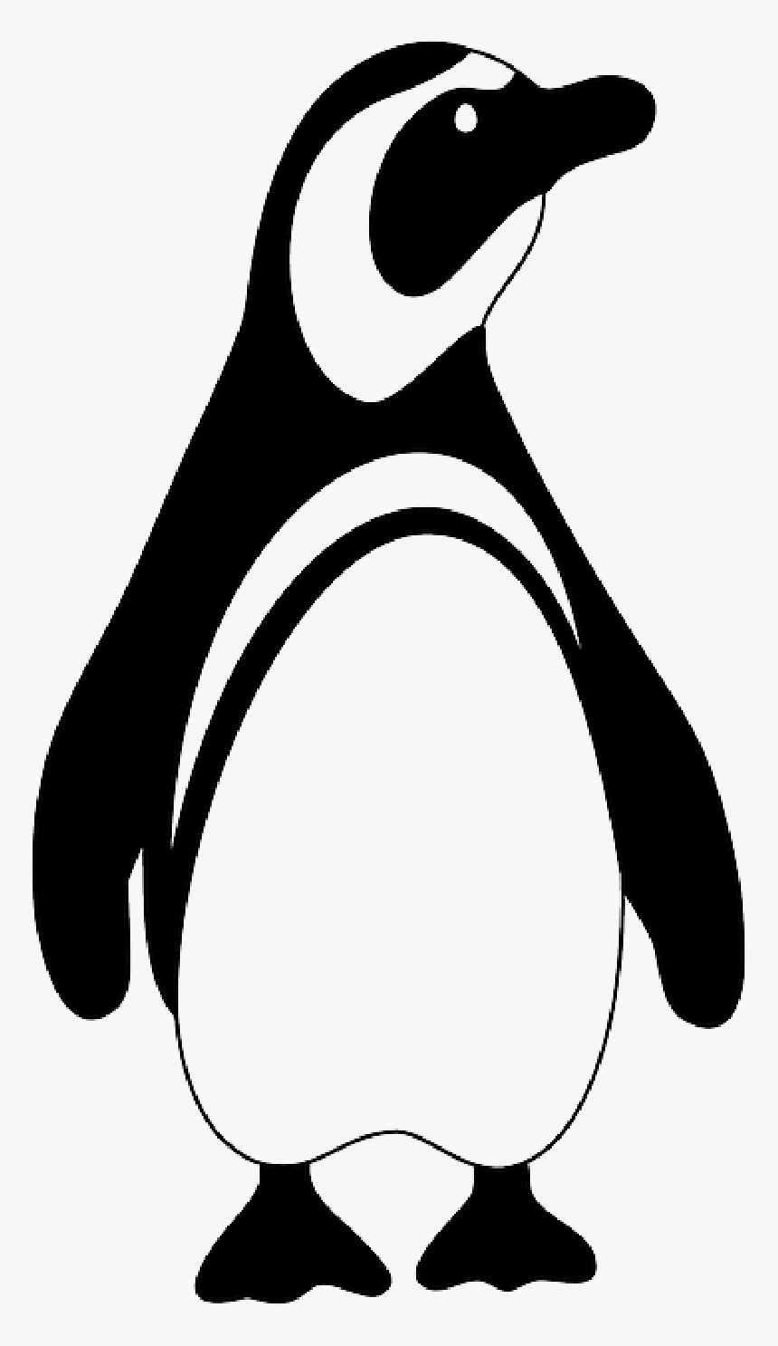 Penguin, Animal, Cute, Bird - Penguin Clipart, HD Png Download, Free Download