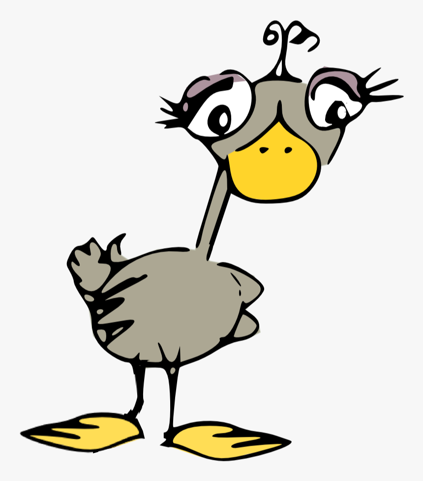 Silly Bird Clip Art, HD Png Download, Free Download