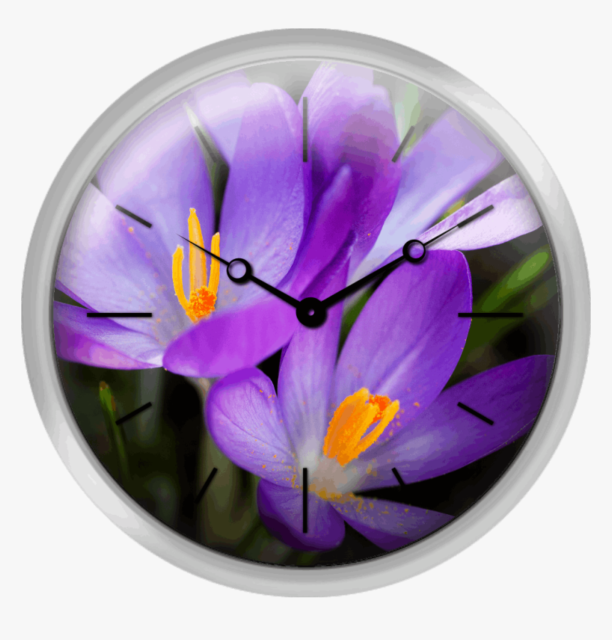 Crocus Flower, HD Png Download, Free Download