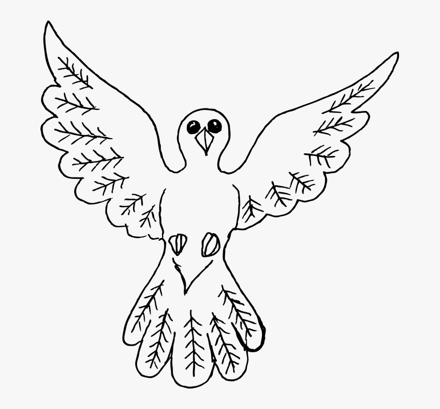 Animales, Ave, Lindo, Paloma, Que Vuelan, Simple - Big Birds Drawing, HD Png Download, Free Download