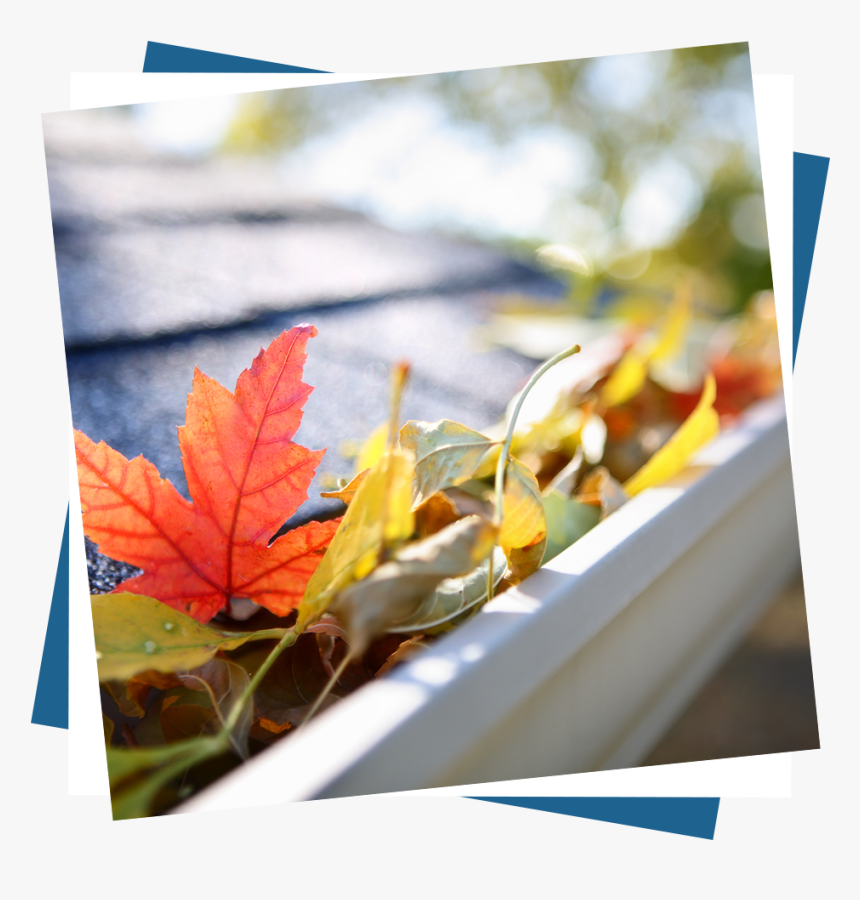 Rain Gutters With Leaves, HD Png Download, Free Download