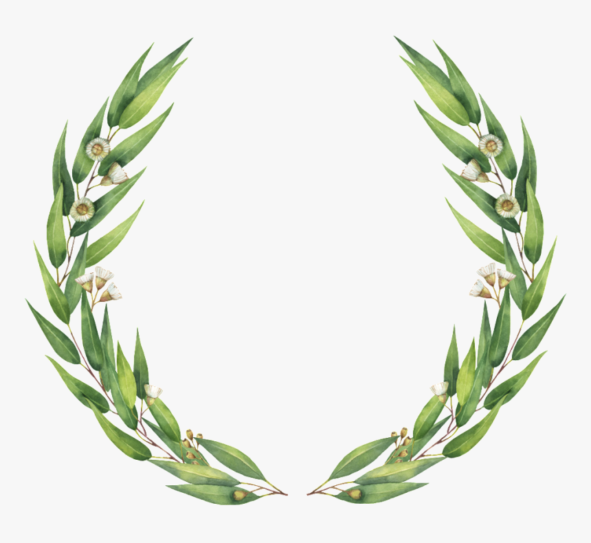 Simple Guirnalda Png De Hoja De Sauce - Eucalyptus Clipart Wreath, Transparent Png, Free Download