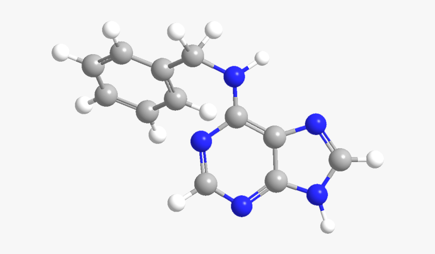 Durham University Department Of Physics, HD Png Download, Free Download