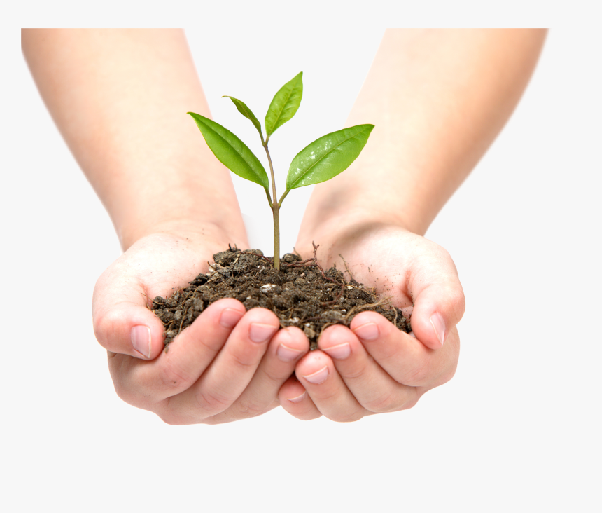 Soil In Hands Png - Tree Growing In Hands, Transparent Png, Free Download