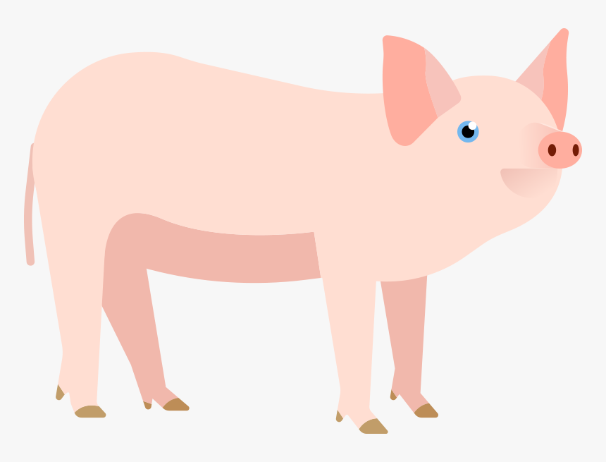 Transparent Charlotte"s Web Png - Domestic Pig, Png Download, Free Download