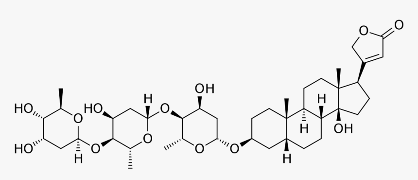 Chemical Structure Of Digitoxin, HD Png Download, Free Download