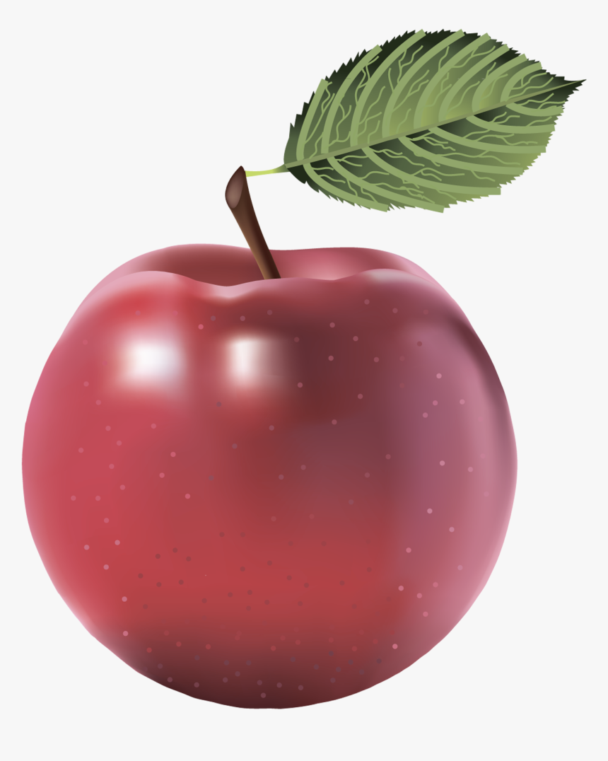 Red Apple Clipart Freeuse - Apple Image Without Background, HD Png Download, Free Download