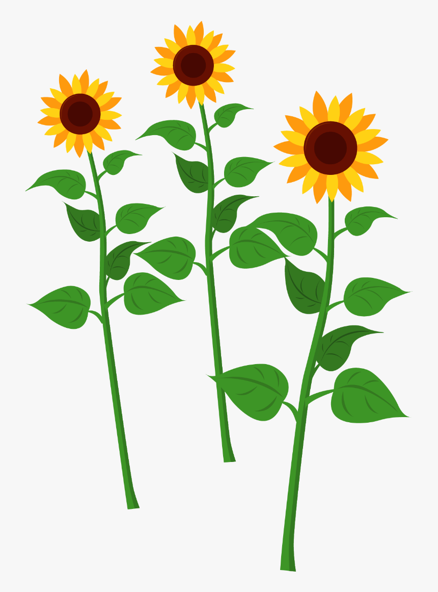 Sunflowers - Stem Of Sunflower Clip Art, HD Png Download, Free Download