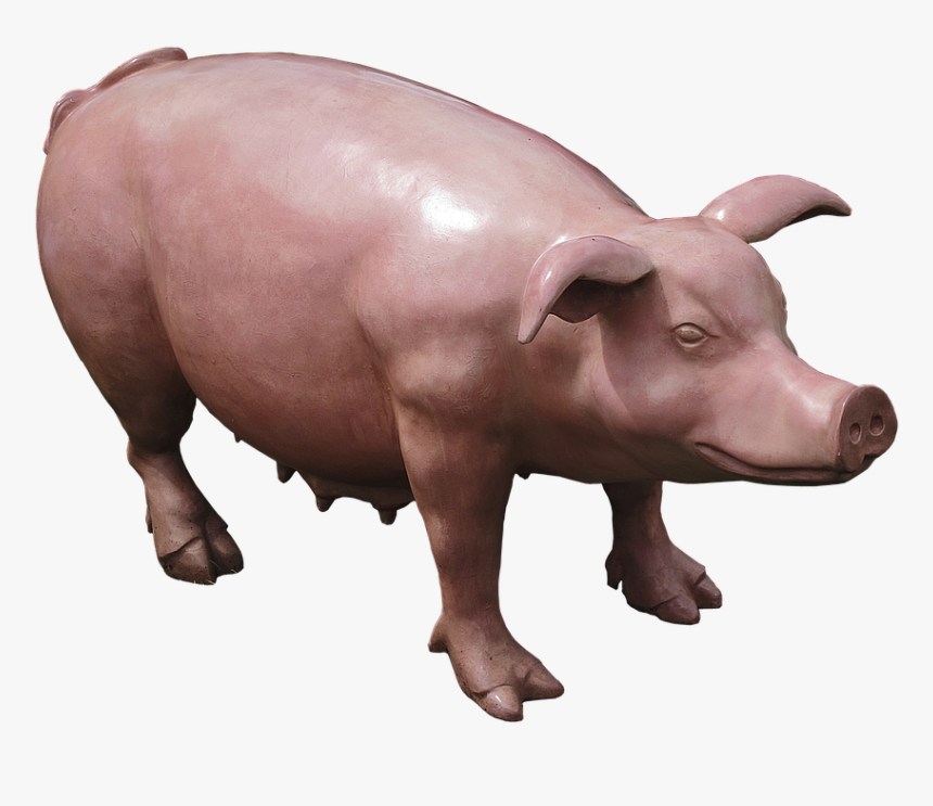 Pig, Sow, Sculpture, Plastic, Artificial, Garden - Domestic Pig, HD Png Download, Free Download