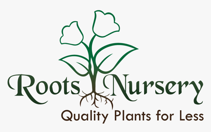 Transparent Plant With Roots Png - Logo For Plant Nursery, Png Download ...