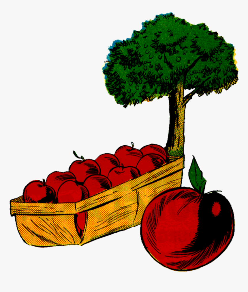 Apple Tree Clipart 8, Buy Clip Art - Tree, HD Png Download, Free Download