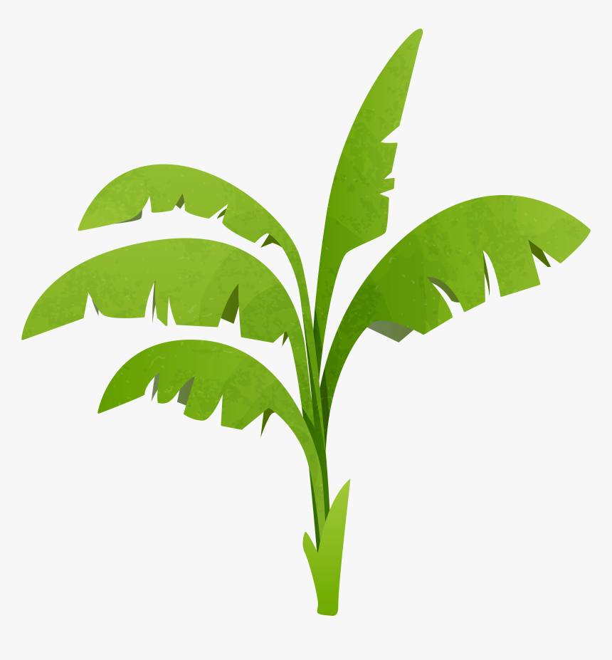 Green Plant Transparent Png - Transparent Plant Clip Art, Png Download, Free Download