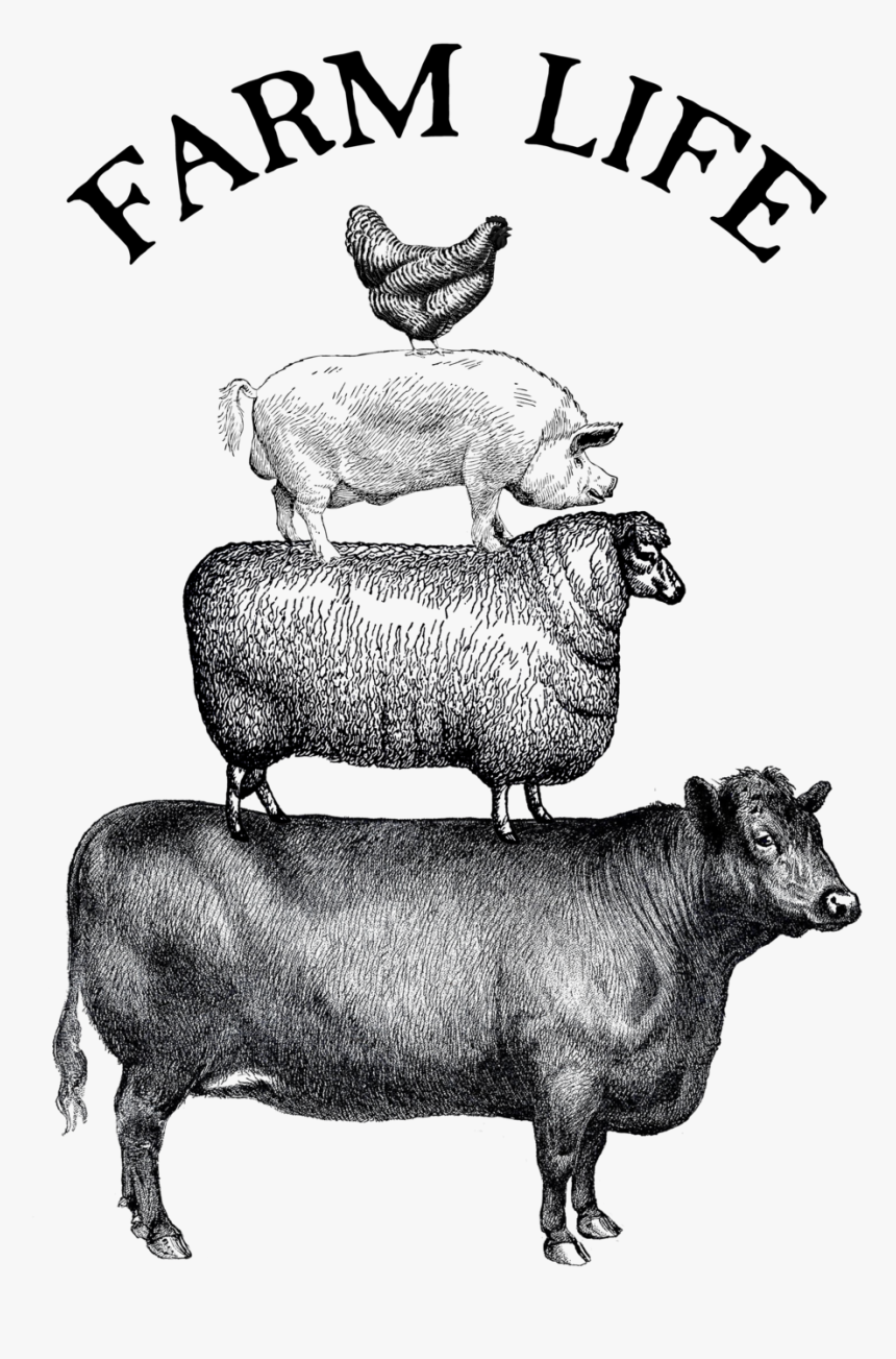 Transparent Farm Animals Png - Black And White Farm Animals Png, Png Download, Free Download