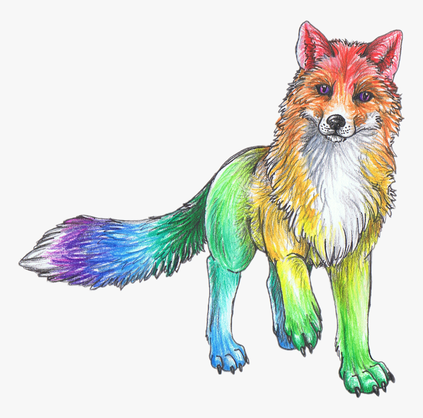 Rainbow Cute Animal Animals Sketch Art Drawing Colorful - Fox Drawings Cute Animals, HD Png Download, Free Download