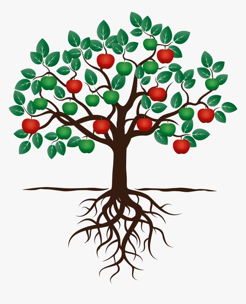 Transparent Apple Tree Clipart Black And White - Fruit Tree With Roots, HD Png Download, Free Download