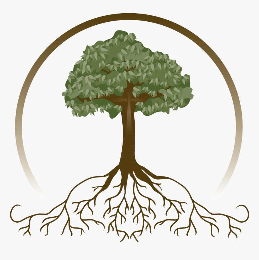 Free Tree With Roots Clipart, HD Png Download, Free Download