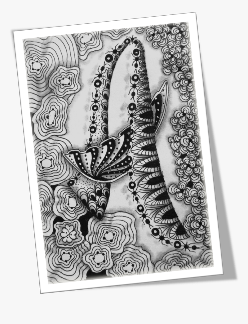 Abc Zentangle, HD Png Download, Free Download