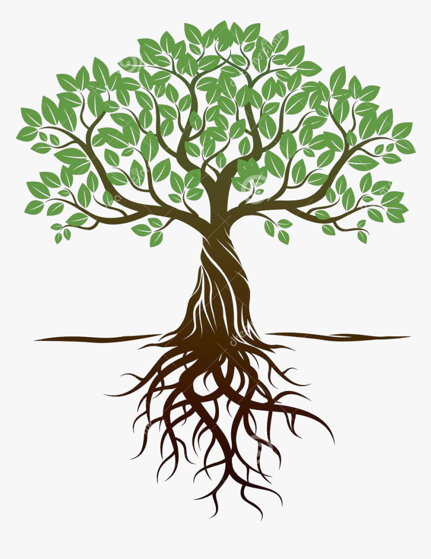 Transparent Roots Png - Clipart Tree With Roots, Png Download, Free Download