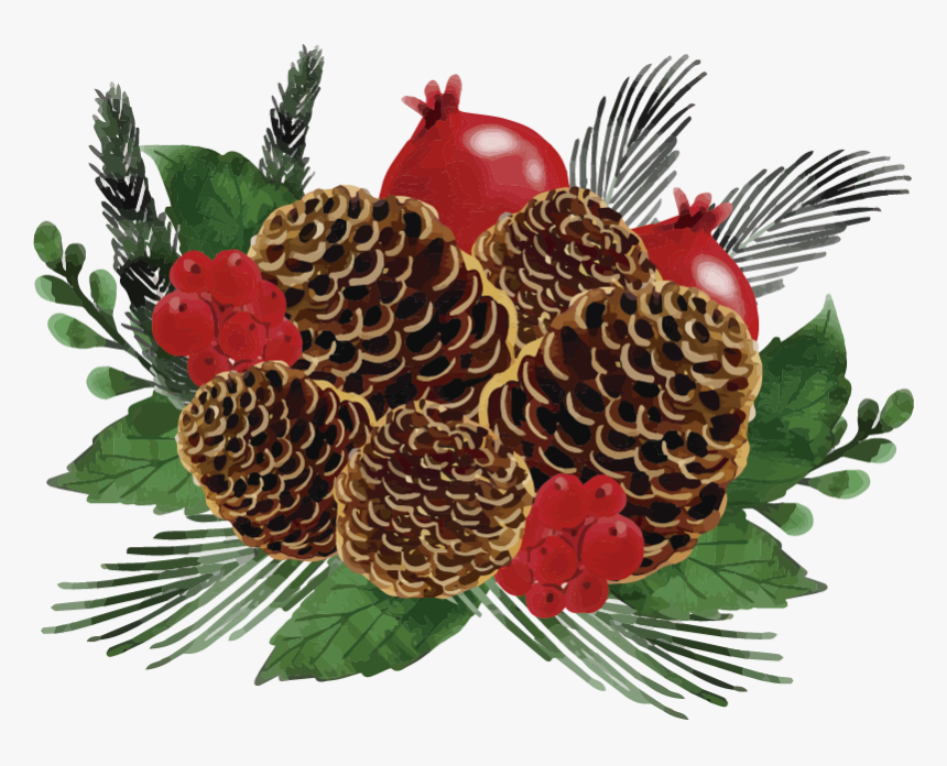 Christmas Pine Cone Wreath Wall Sticker - Watercolor Christmas Pine Cone, HD Png Download, Free Download