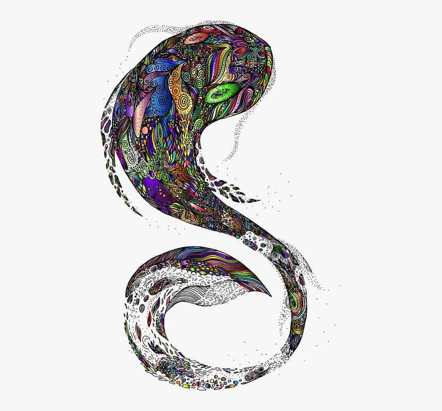 Fish, Zentangle, Zendoodle, Line Art, Flourish - Illustration, HD Png Download, Free Download