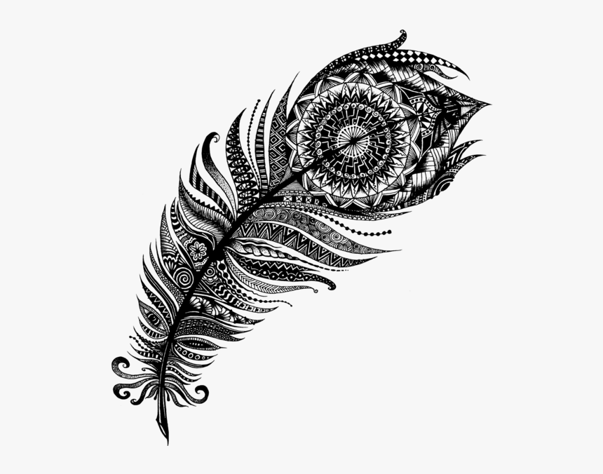 Zentangle Feather - Black And White Peacock Feather Tattoo, HD Png Download, Free Download