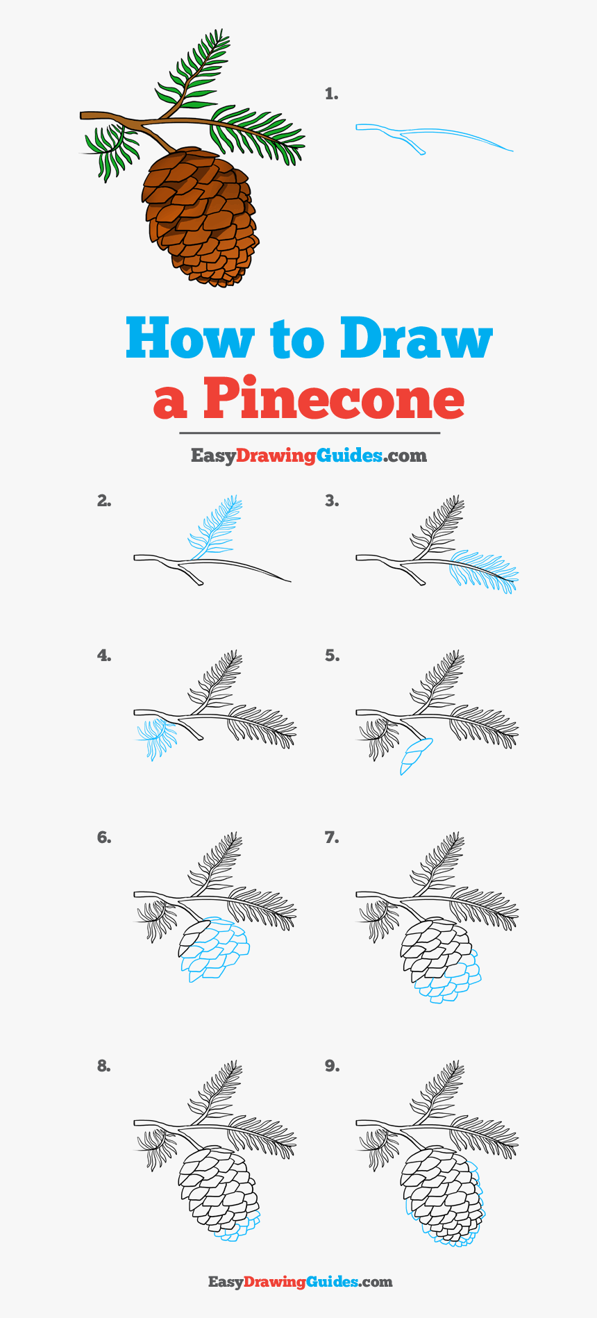 How To Draw Pinecone - Basketball Hoop Drawing Easy, HD Png Download, Free Download