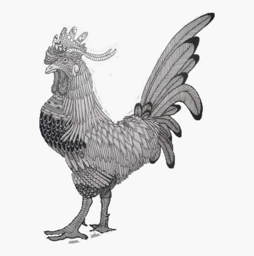 Draw Anything In A Zentangle Style - Zentangle Ayam, HD Png Download, Free Download