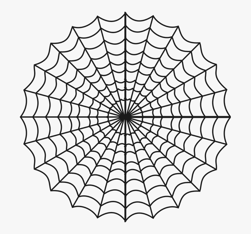 Spider, Web, Cobweb, Net, Trap, Halloween, Nature - Vector Spider Man Web, HD Png Download, Free Download