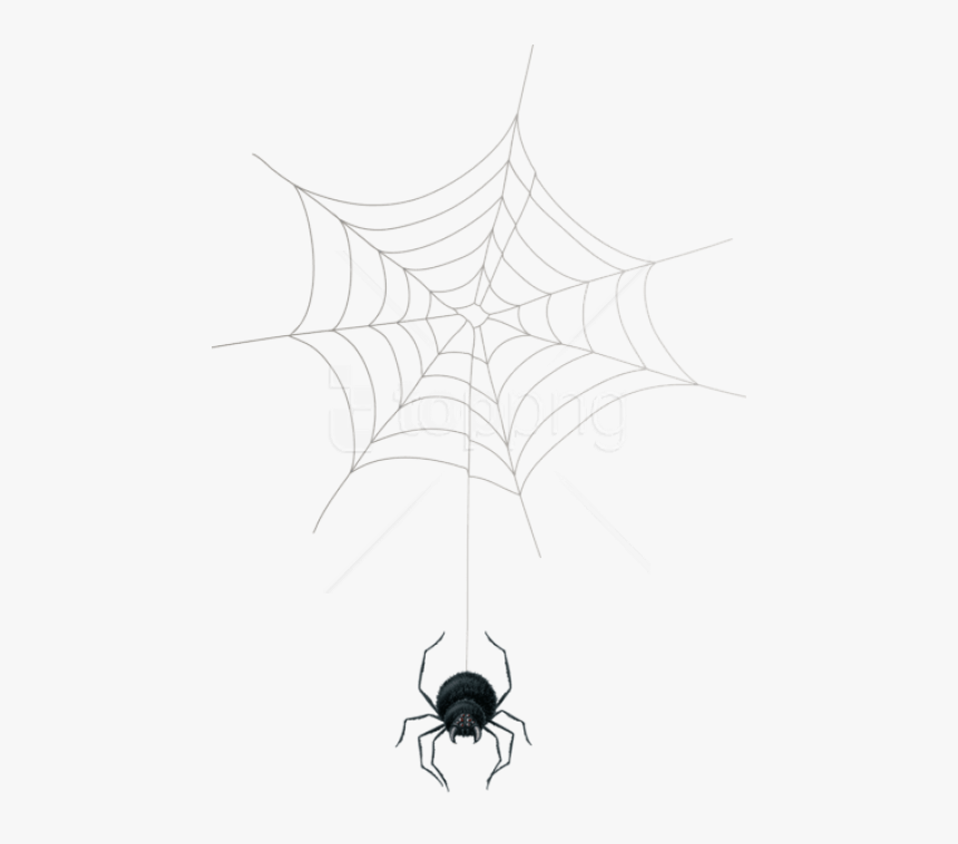 Spider-web - Spider Web, HD Png Download, Free Download