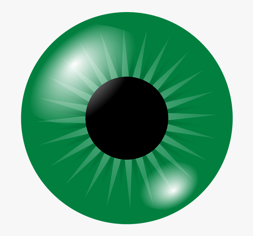 Vector Eyeball Bloody - Green Eye Ball Clip Art, HD Png Download, Free Download