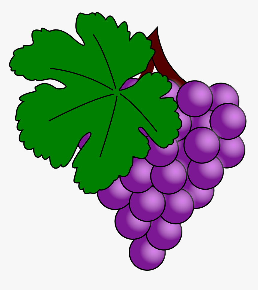 Clip Art Grape, HD Png Download, Free Download